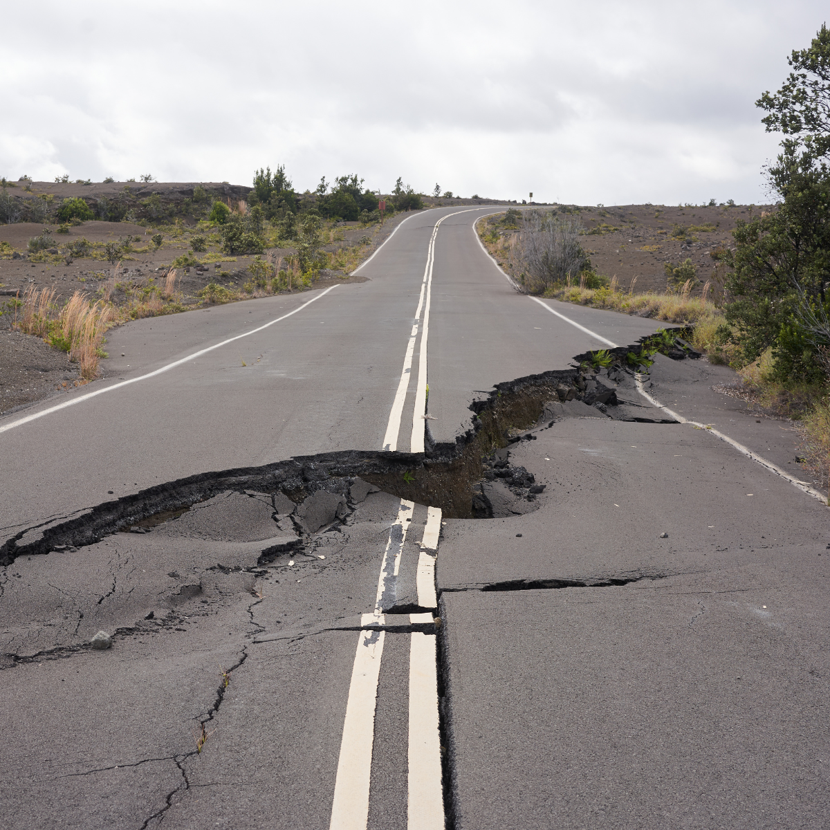 Business and industry disruption is like an earthquake